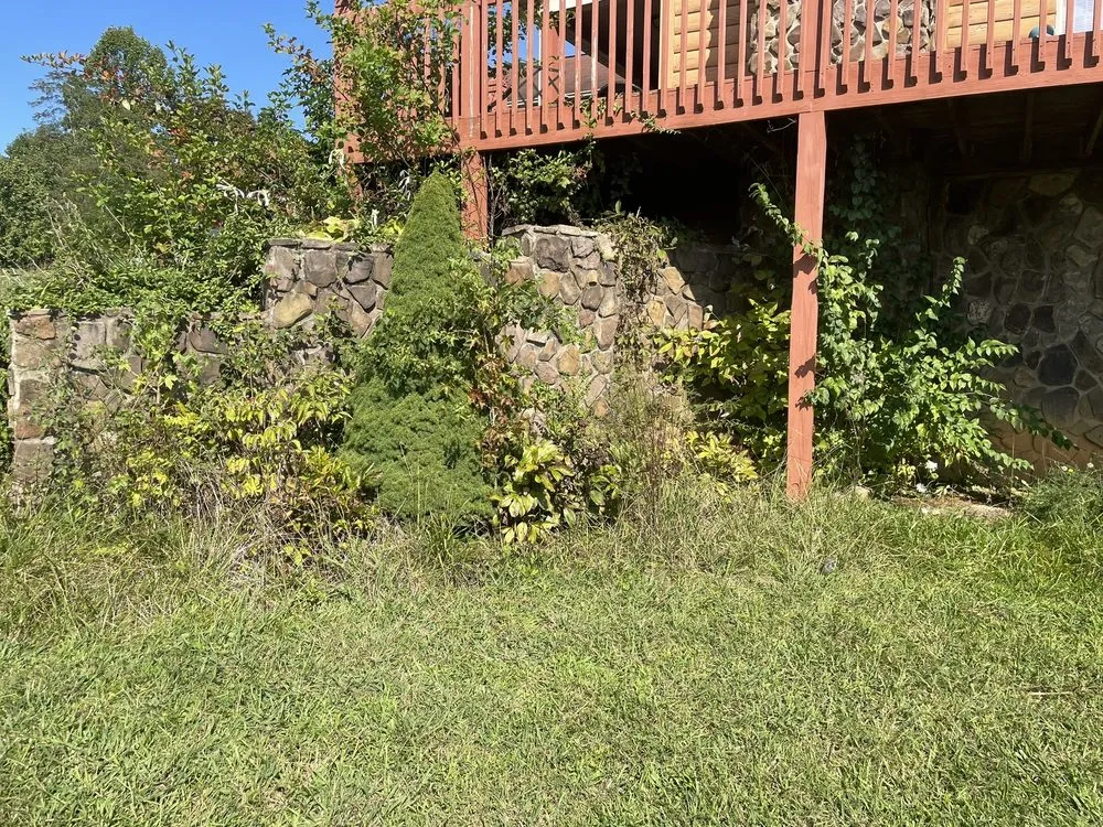 Local yard cleanup service experts serving Church Hill, TN - Blue Knight Lawn Care