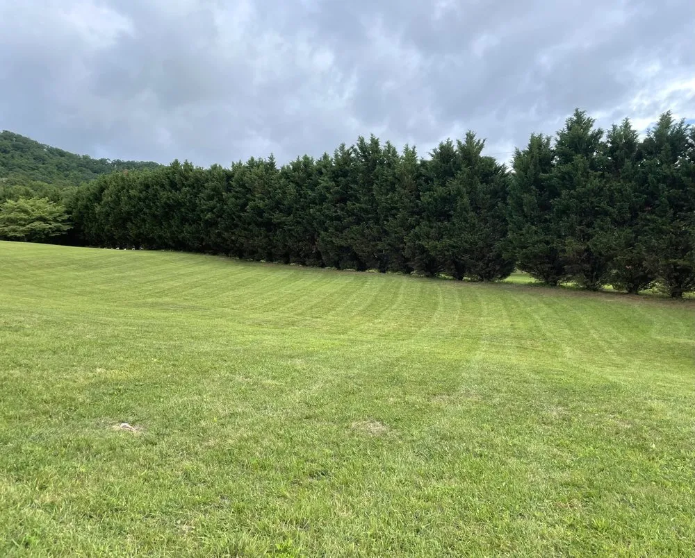 Affordable residential landscaping for year-round maintenance across Church Hill, TN - Blue Knight Lawn Care