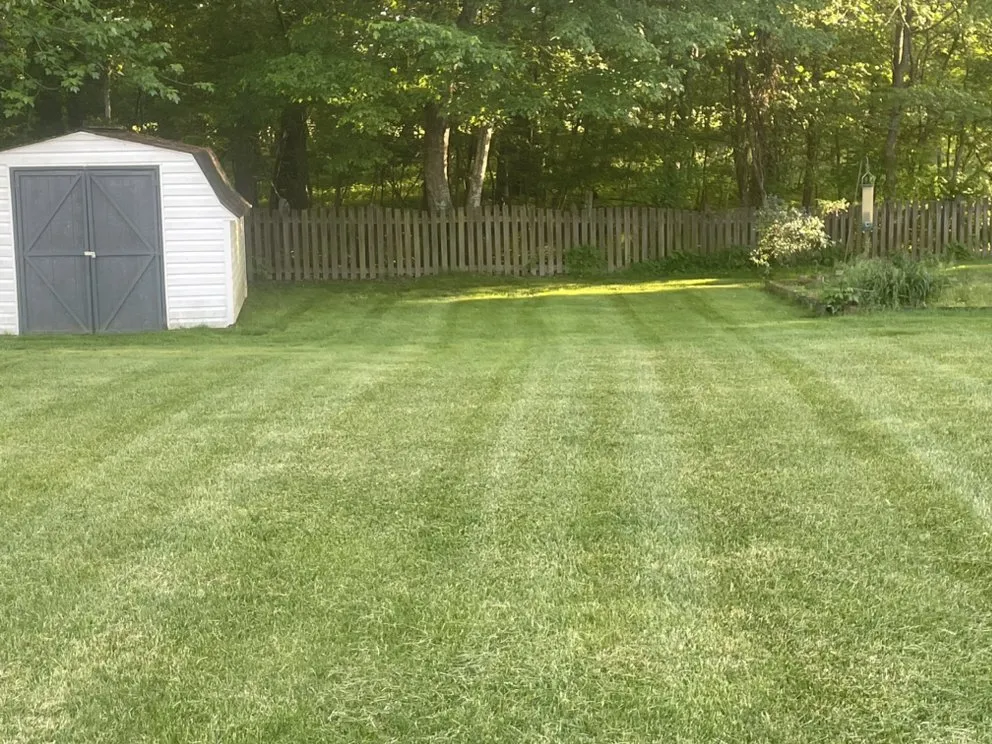 Top-rated landscape design in Church Hill, TN by Blue Knight Lawn Care