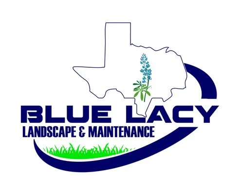 Blue Lacy Landscape & Maintenance