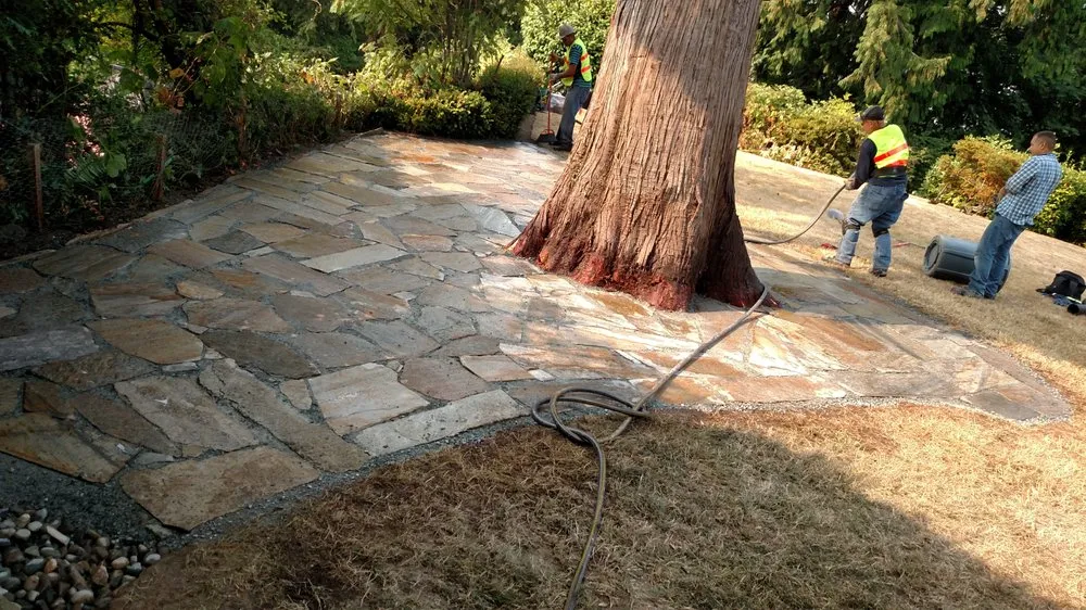 Expert residential landscaping in Kent, WA by Blue Landscaping Services