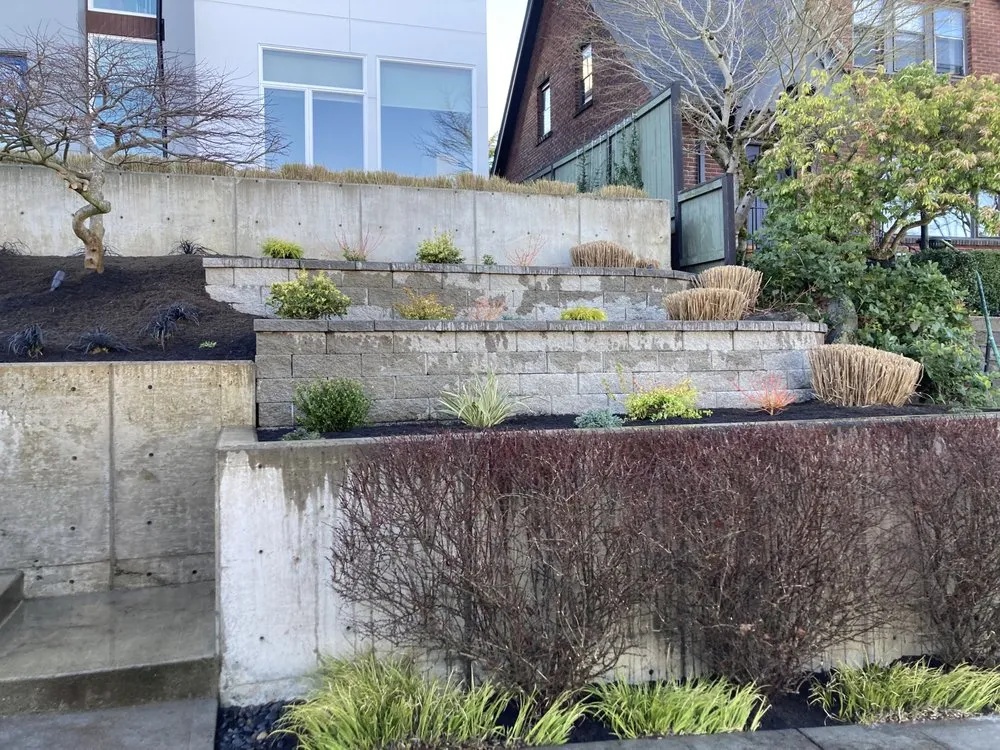 Top-rated landscape design for year-round maintenance across Kent, WA - Blue Landscaping Services