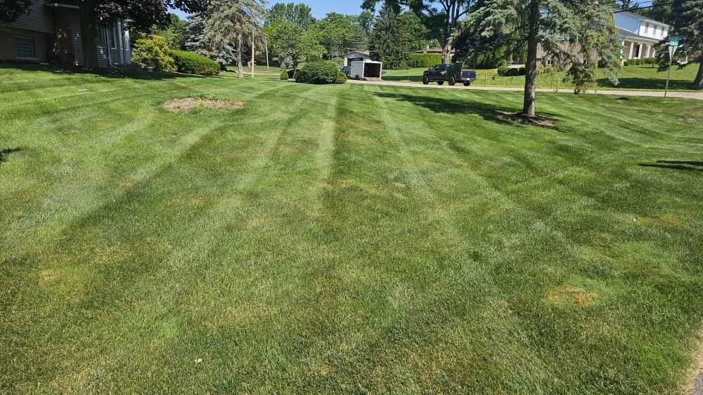 Top-rated yard cleanup service for residential properties across Shelby Township, MI - Blue Landscaping