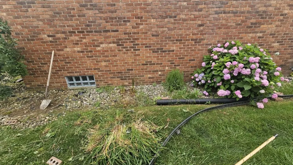 Local lawn care service in Shelby Township, MI by Blue Landscaping