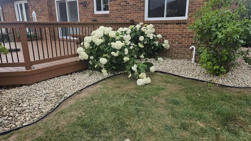 Custom lawn mowing service in Shelby Township, MI - Blue Landscaping