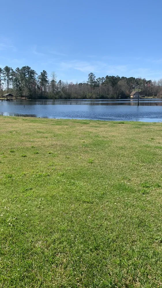 Expert yard cleanup service for residential properties across Darlington, SC - Blue Lawn Maintenance