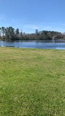 Blue Lawn Maintenance Logo