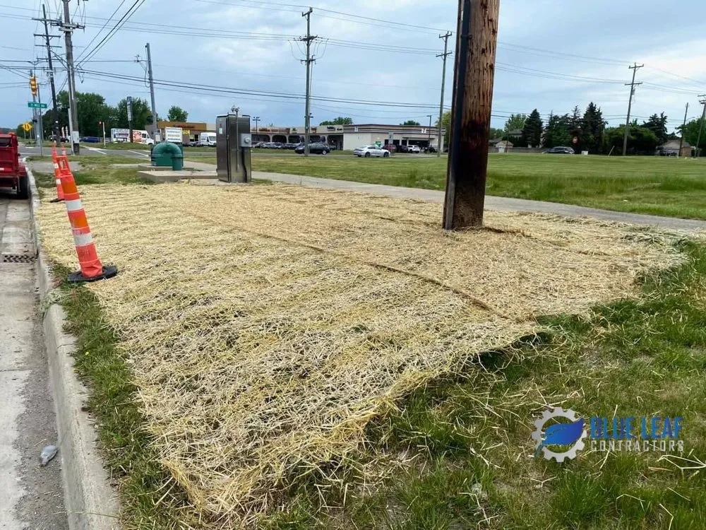 Local yard maintenance in Westland, MI - Blue Leaf Contractors