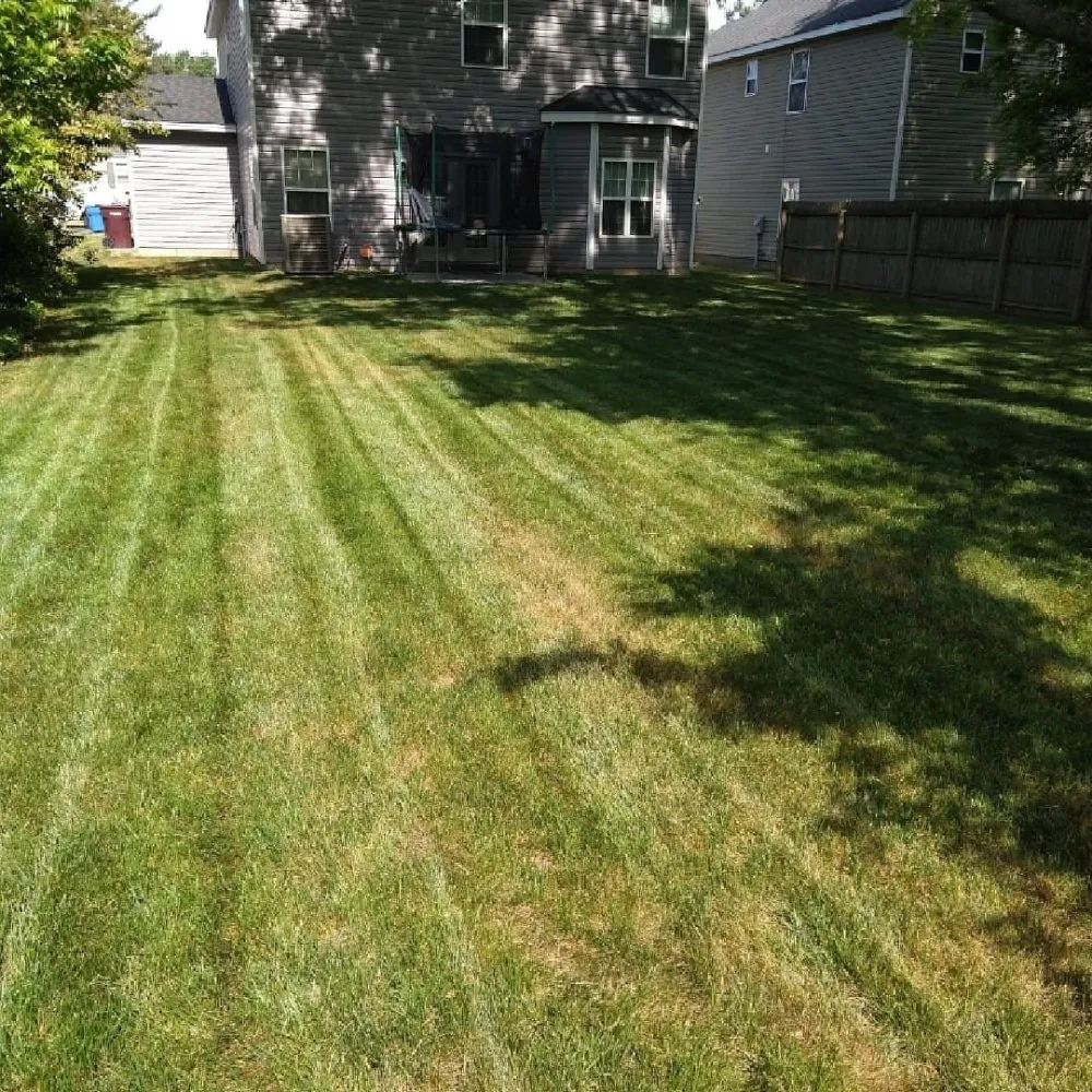 Expert landscaping services near you in Chesapeake, VA by Blue Leaf Landscaping