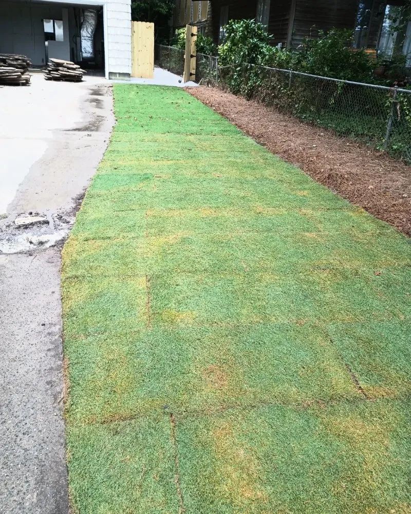 Custom yard cleanup service in Chesapeake, VA - Blue Leaf Landscaping