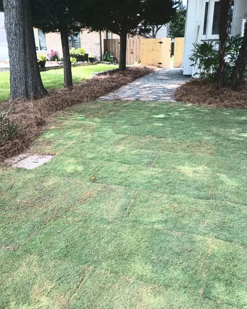 Expert garden landscaping near you in Chesapeake, VA by Blue Leaf Landscaping