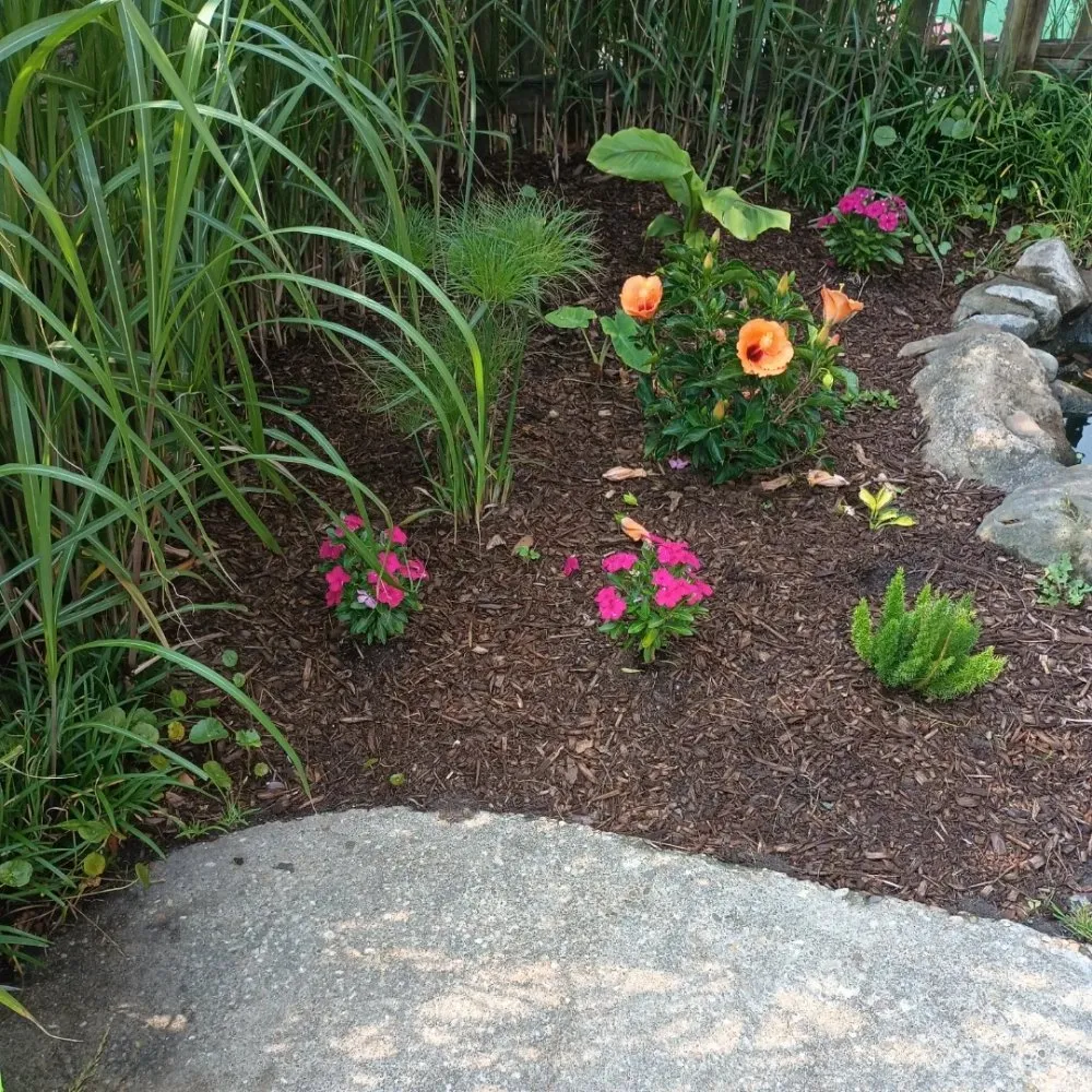 Top-rated outdoor landscaping experts serving Chesapeake, VA - Blue Leaf Landscaping