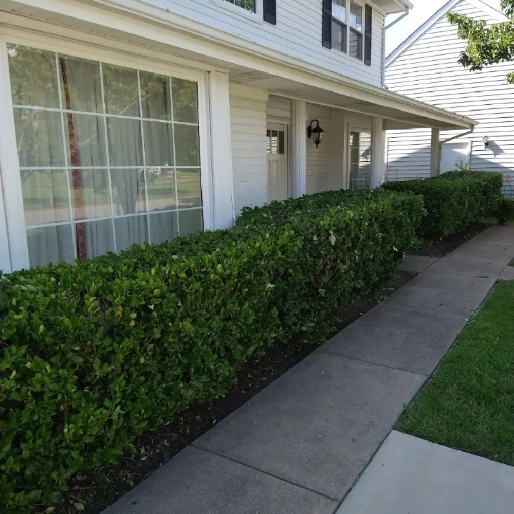 Top-rated outdoor landscaping for homes in Chesapeake, VA by Blue Leaf Landscaping