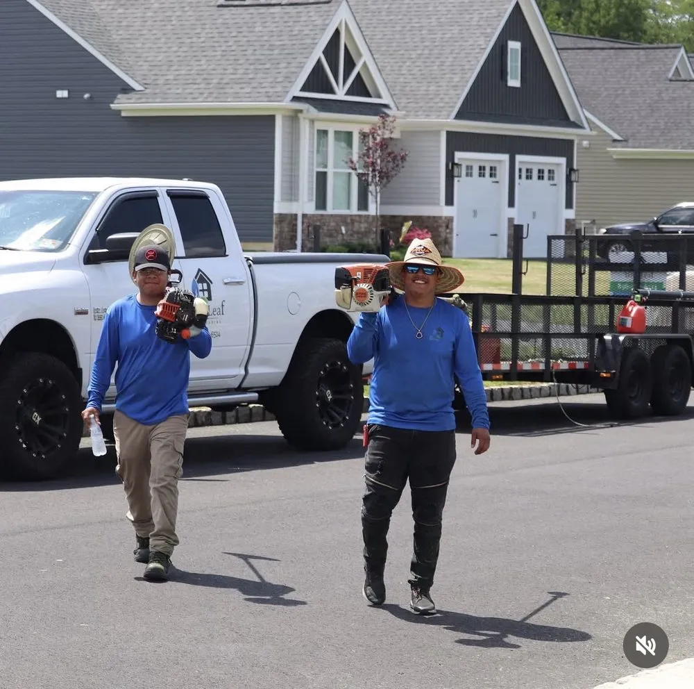 Professional lawn care service experts serving Deptford, NJ - Blue Leaf Landscaping