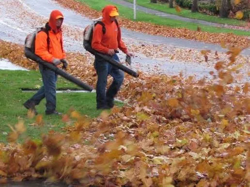 Reliable lawn care service experts serving Deptford, NJ - Blue Leaf Landscaping