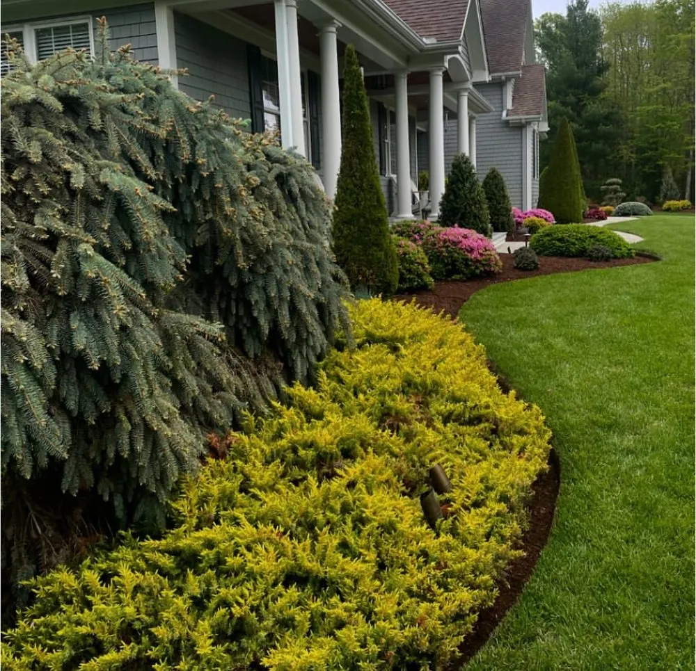 Trusted lawn care service in Deptford, NJ - Blue Leaf Landscaping