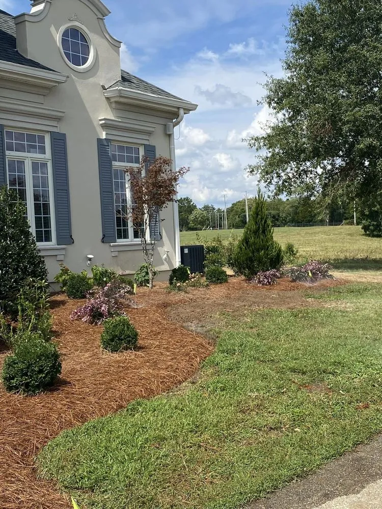 Top-rated lawn mowing service experts serving Lebanon, TN - Blue Leaf Landscaping