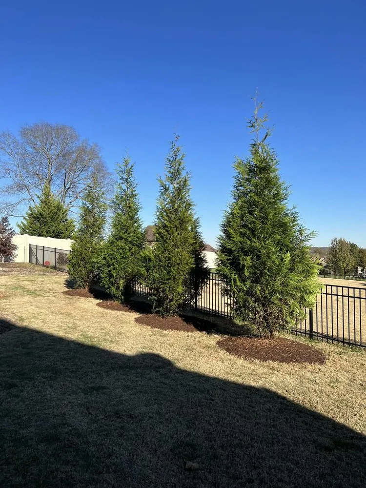 Professional outdoor landscaping experts serving Lebanon, TN - Blue Leaf Landscaping