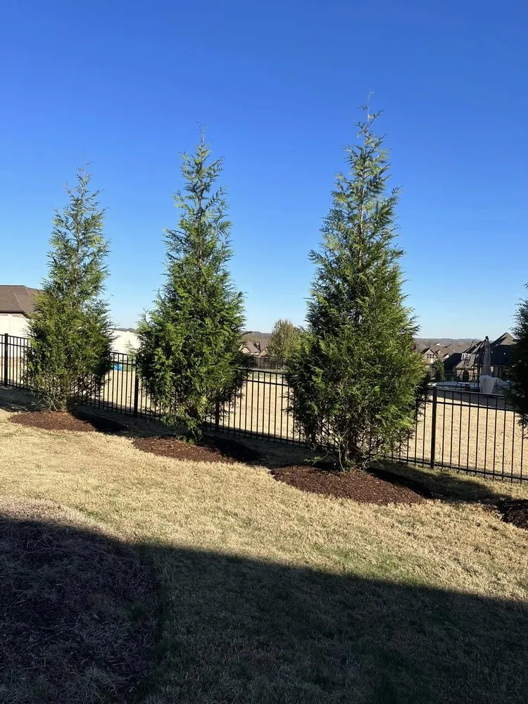 Expert landscape installation in Lebanon, TN by Blue Leaf Landscaping