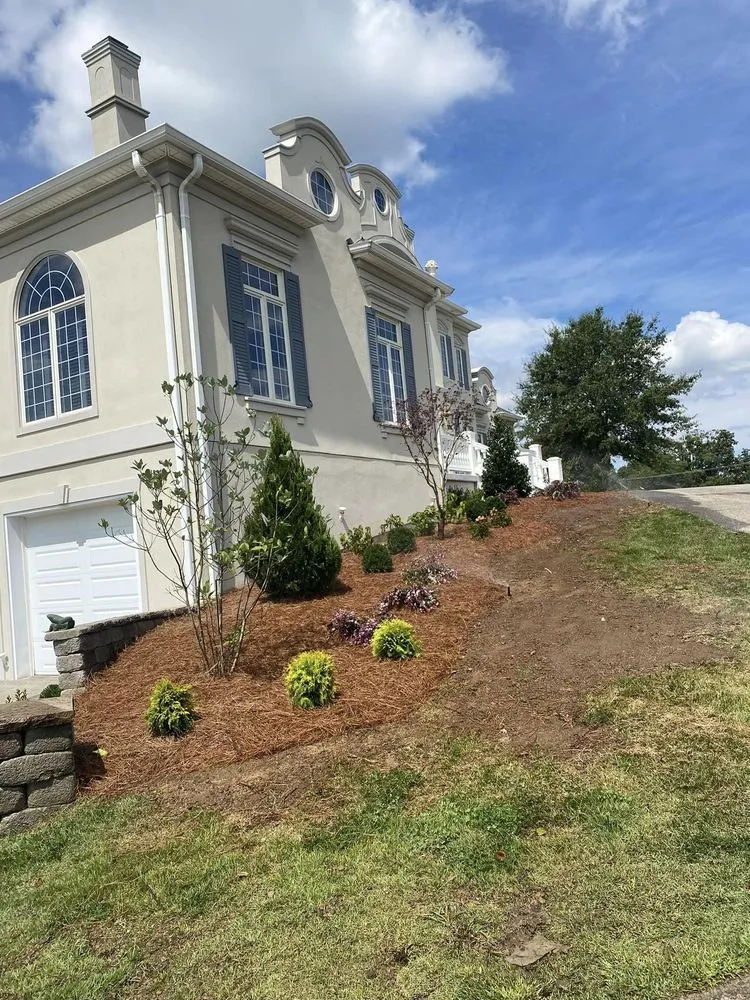 Affordable yard maintenance in Lebanon, TN - Blue Leaf Landscaping