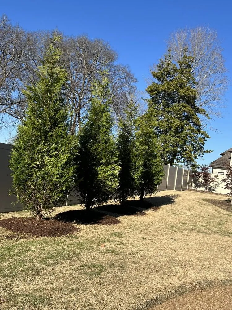 Professional outdoor landscaping for homes across Lebanon, TN - Blue Leaf Landscaping