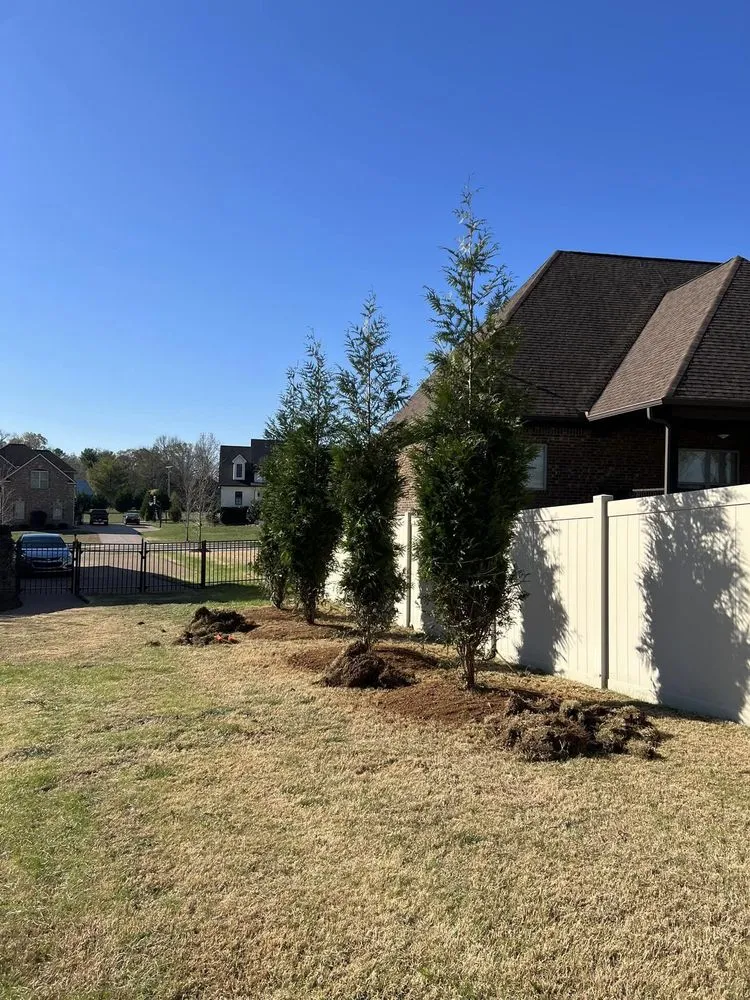 Custom residential landscaping in Lebanon, TN by Blue Leaf Landscaping