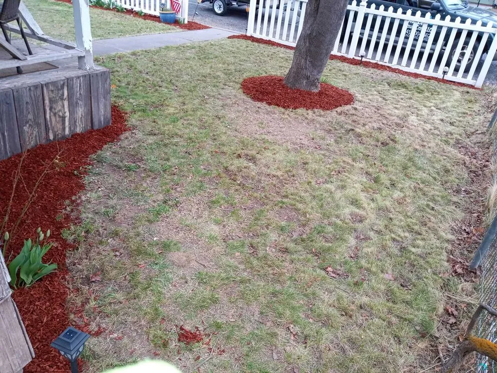 Affordable yard maintenance with custom design across Madras, OR - Blue Leaf Lawn Care