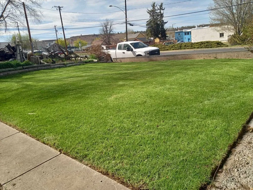 Professional lawn care service for year-round maintenance in Madras, OR by Blue Leaf Lawn Care