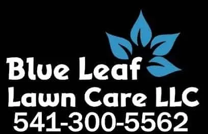 Expert garden landscaping in Madras, OR - Blue Leaf Lawn Care