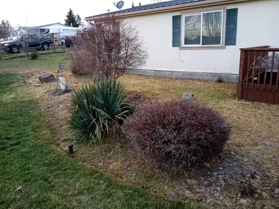 Reliable yard maintenance experts serving Madras, OR - Blue Leaf Lawn Care