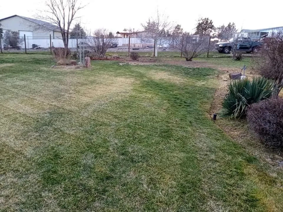 Reliable landscape installation in Madras, OR - Blue Leaf Lawn Care