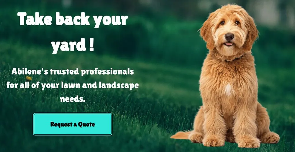 Affordable landscape design in Abilene, TX by Blue Light Landscapes