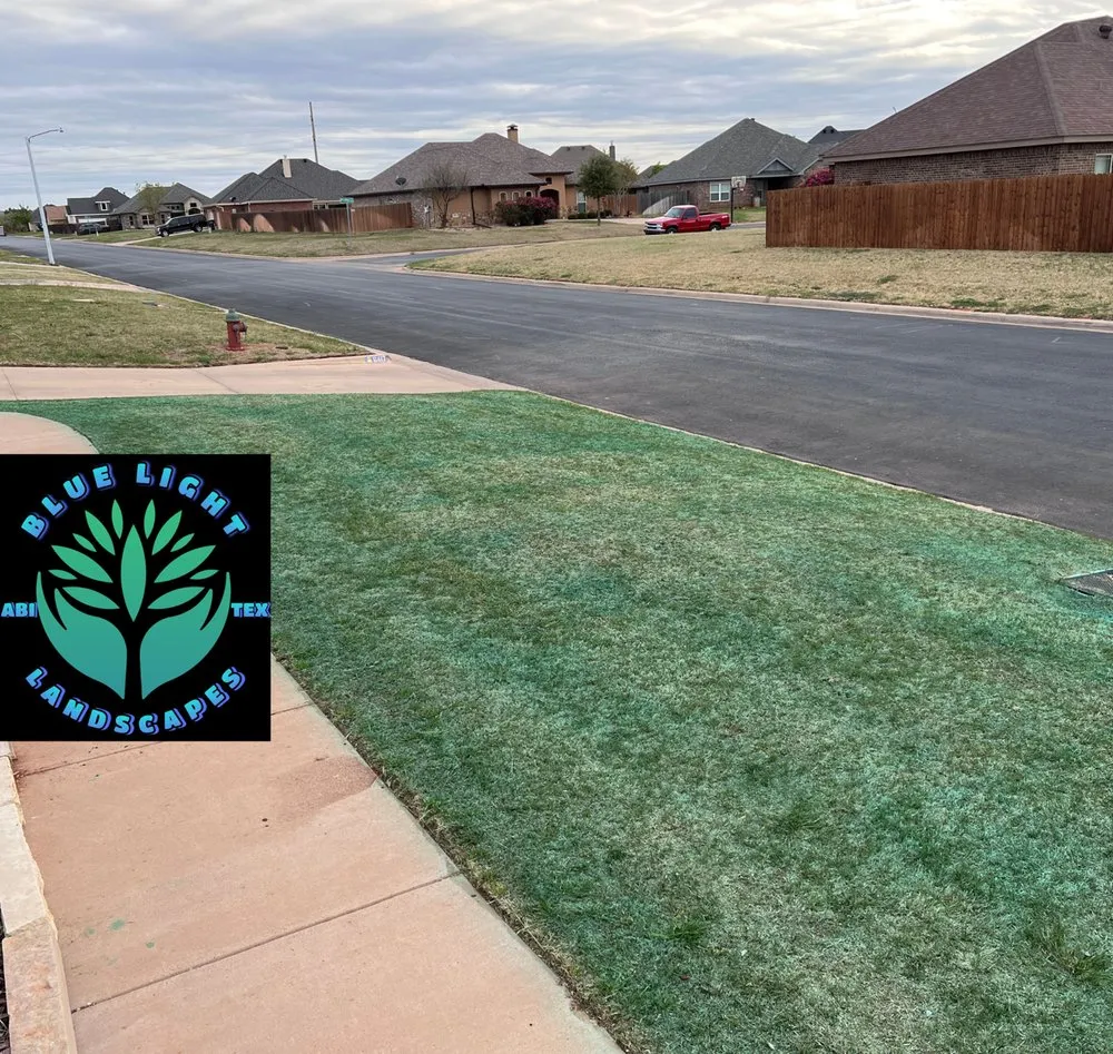 Affordable landscape design in Abilene, TX - Blue Light Landscapes