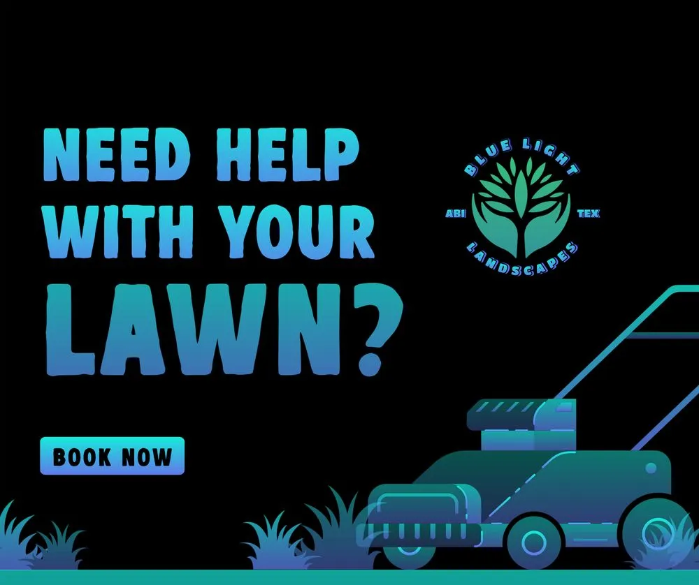 Reliable yard cleanup service in Abilene, TX by Blue Light Landscapes