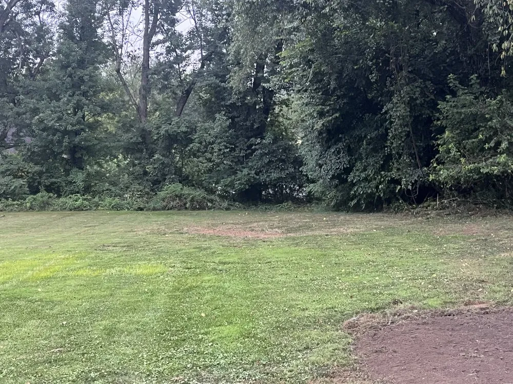 Local lawn mowing service for homes across Mount Pleasant, PA - Blue Line Contracting