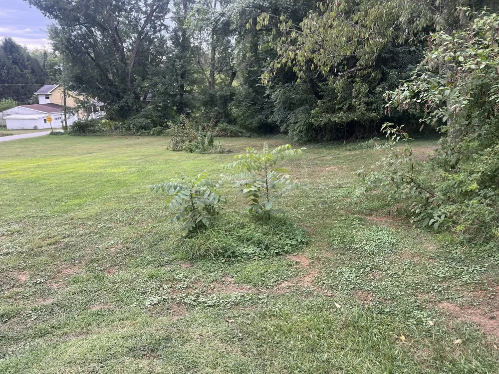 Top-rated landscape design in Mount Pleasant, PA - Blue Line Contracting