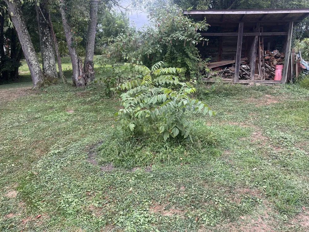 Reliable landscape design experts serving Mount Pleasant, PA - Blue Line Contracting