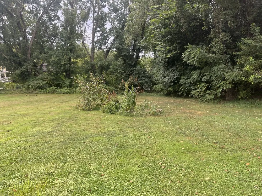 Professional garden landscaping in Mount Pleasant, PA - Blue Line Contracting