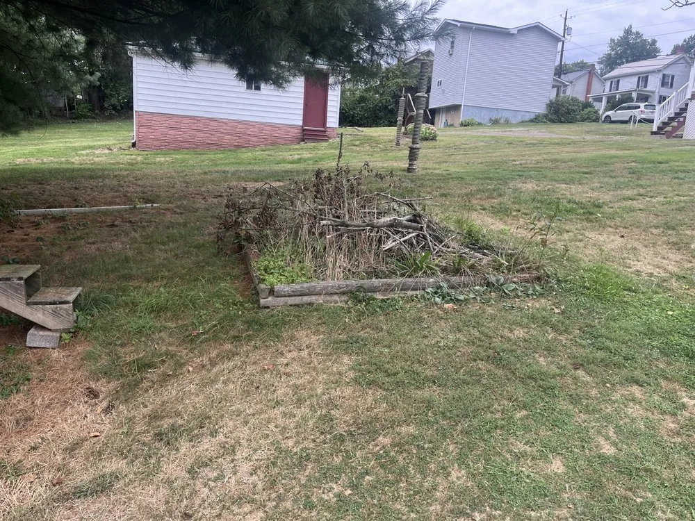 Affordable yard cleanup service in Mount Pleasant, PA by Blue Line Contracting