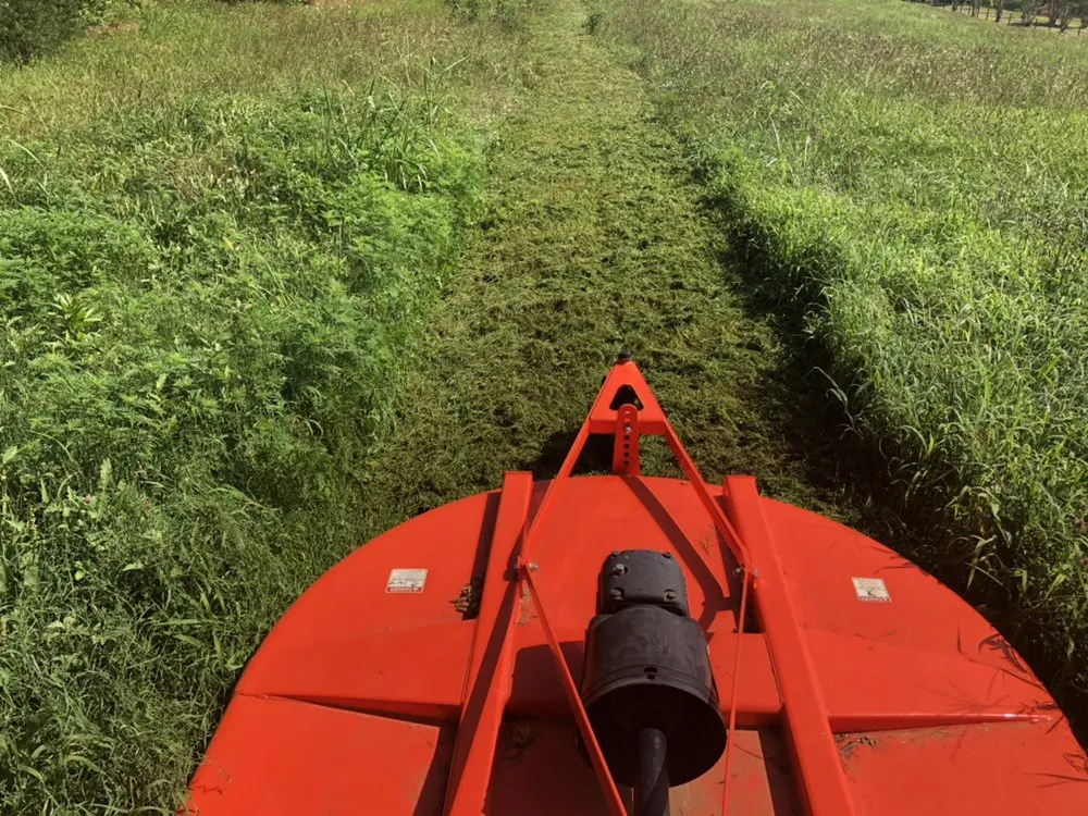 Reliable landscape installation experts serving Travelers Rest, SC - Blue Line Grind