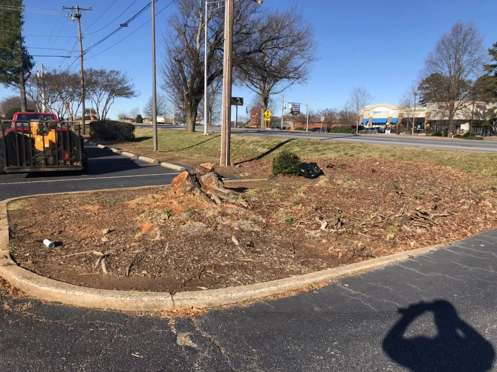 Affordable landscape installation for outdoor upgrades in Travelers Rest, SC by Blue Line Grind