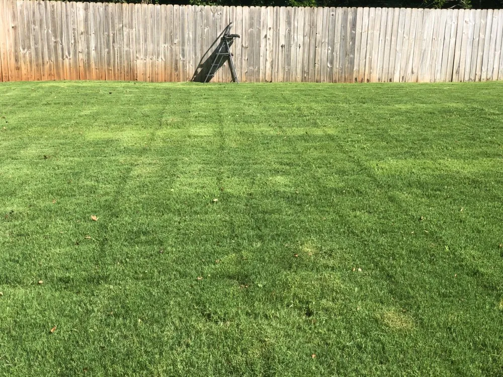 Custom yard maintenance in Travelers Rest, SC by Blue Line Grind