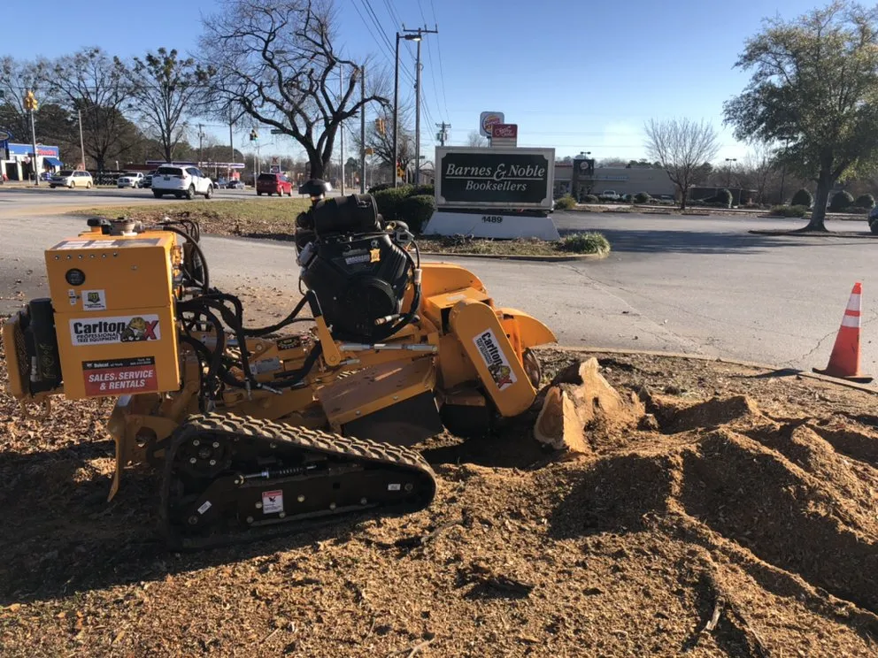 Expert lawn mowing service for residential properties across Travelers Rest, SC - Blue Line Grind