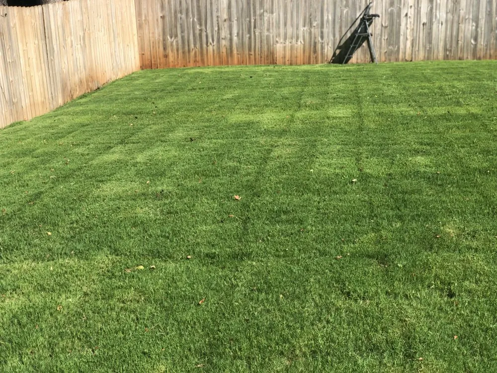 Affordable lawn mowing service in Travelers Rest, SC by Blue Line Grind