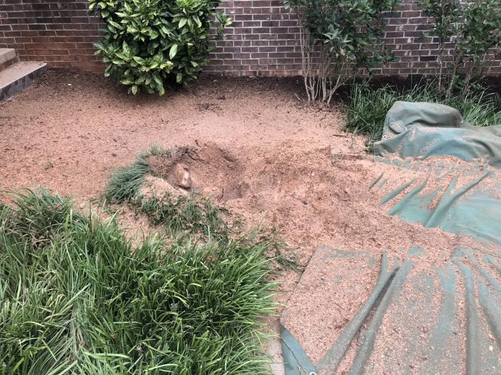 Professional yard maintenance for homes across Travelers Rest, SC - Blue Line Grind