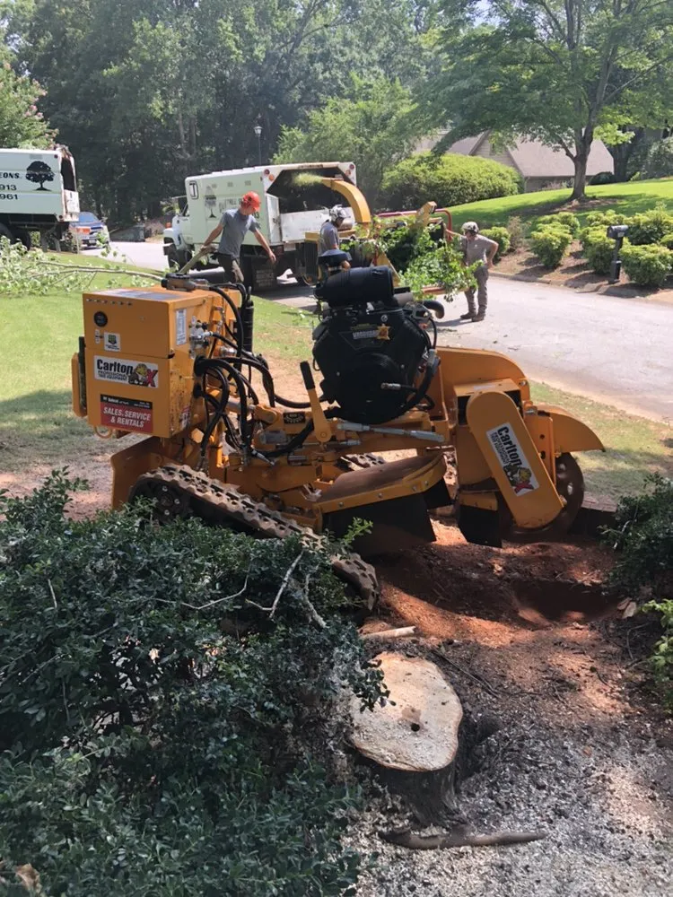 Top-rated landscaping services in Travelers Rest, SC by Blue Line Grind