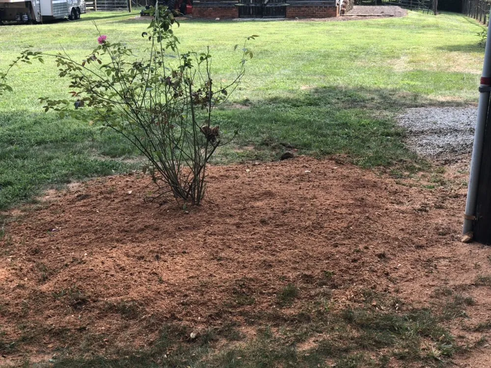 Custom garden landscaping in Travelers Rest, SC by Blue Line Grind