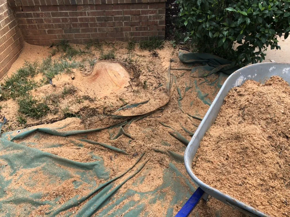 Expert lawn mowing service experts serving Travelers Rest, SC - Blue Line Grind