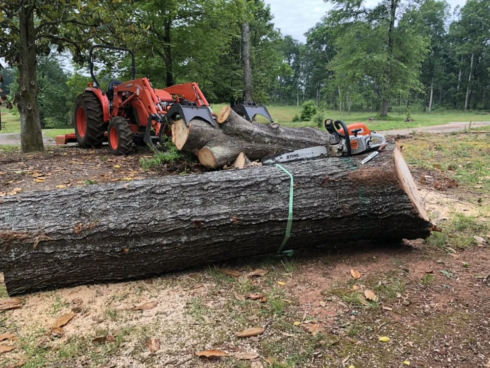 Trusted landscape installation for year-round maintenance across Travelers Rest, SC - Blue Line Grind