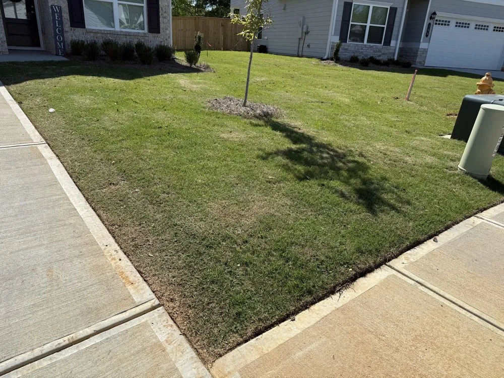 Expert landscape design experts serving Cartersville, GA - Blue Line Landscaping Solutions